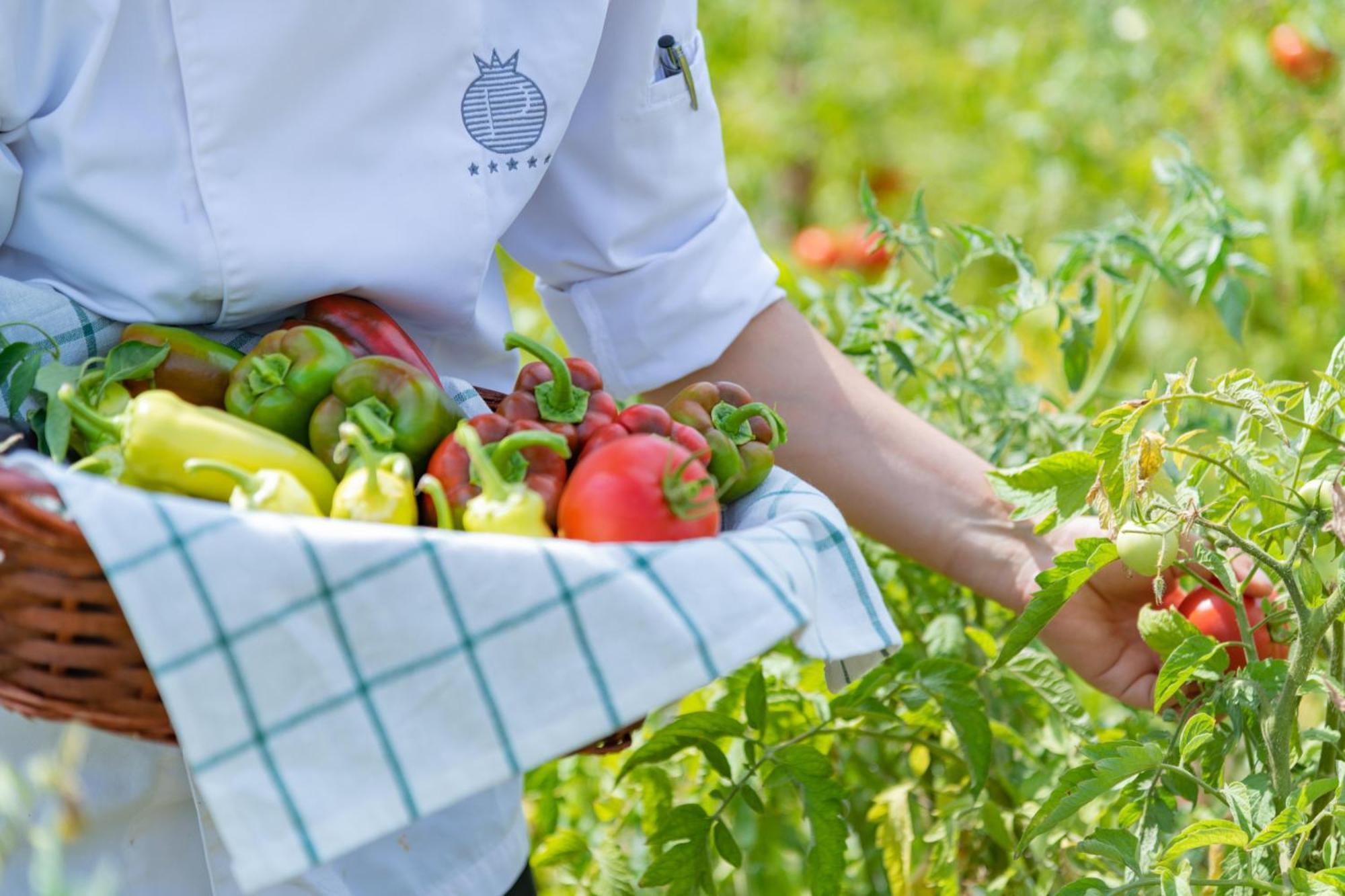 Pomegranate Wellness 渡假村 Chalkidiki